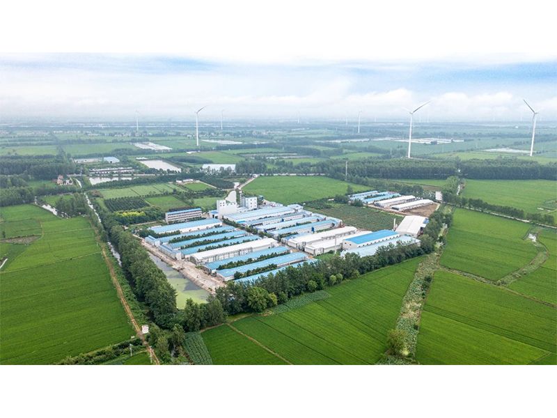 2023年中央一號文件出爐，畜禽產(chǎn)業(yè)應抓住哪些新機遇？