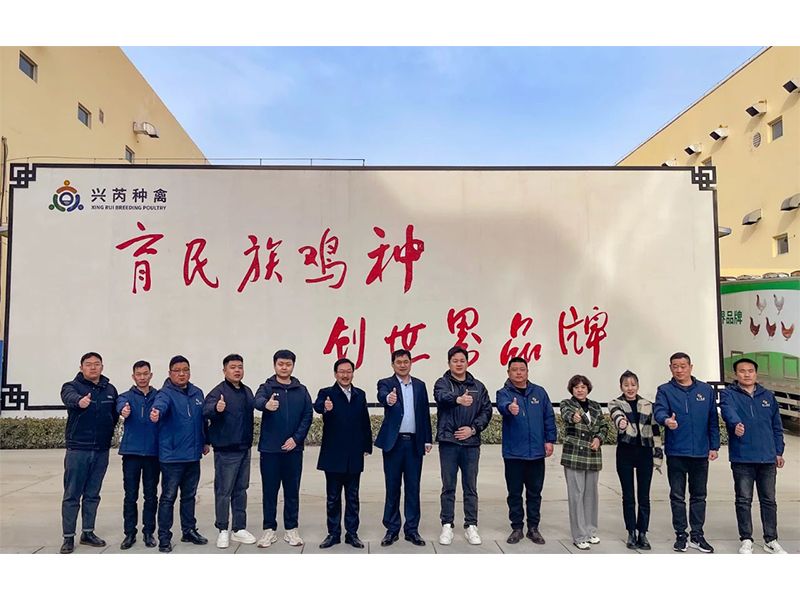 參觀學習促進步 交流合作贏發(fā)展︱卓一牧業(yè)赴興芮種禽、峪口禽業(yè)與瑞普生物參觀訪學
