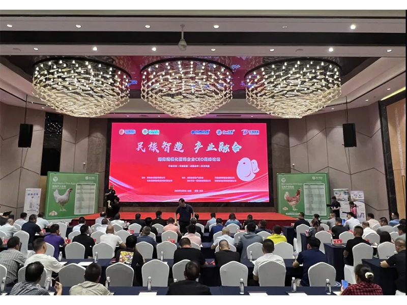 熱烈祝賀湖南規(guī)?；半u企業(yè)CEO高峰論壇取得圓滿成功！